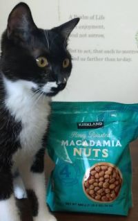 4月27日(木曜日)　広島倉庫店｜スヌーピー　ホットサンドダブル
湯田ヨ...