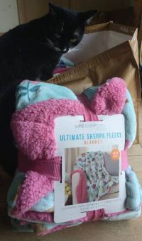 4月21日(金曜日)　広島倉庫店｜クラウンレスパイナップル　498円
味...