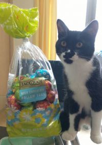 4月5日(水曜日)　広島倉庫店｜4/4 ヤマダフーズ ひきわり納豆
あ...