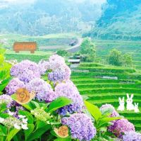 ★ドンキ♡♡ロピア 雑談84 ★