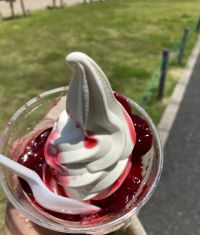 5月17日(水曜日)　幕張倉庫店｜10:00オープン。
ダークチェリーサ...