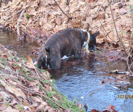 生き物ルーム65