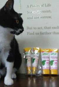 5月12日(金曜日)　広島倉庫店｜アルバボタニカの日焼け止めを見に13時頃...