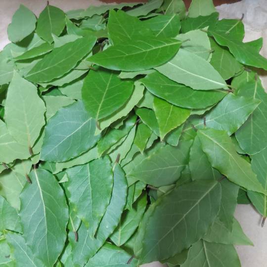 【料理トピ】食い隊 知り隊 作り隊　質