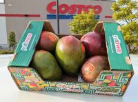 7月6日(木曜日)　中部空港倉庫店｜オープン時、オイコスバニラといちご、たく...