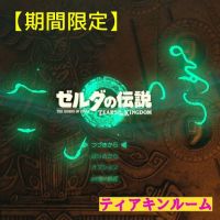 【期間限定】ティアキンルーム