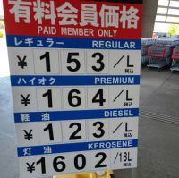 7月4日(火曜日)　中部空港倉庫店｜プルメリア鉢があるかみていただきたいです...