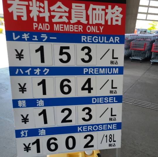 7月4日(火曜日) 中部空港倉庫店|プルメリア鉢があるかみていただきたいです...