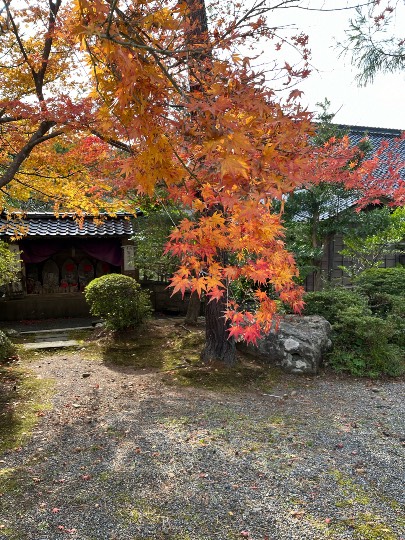 新装・旅行トピ