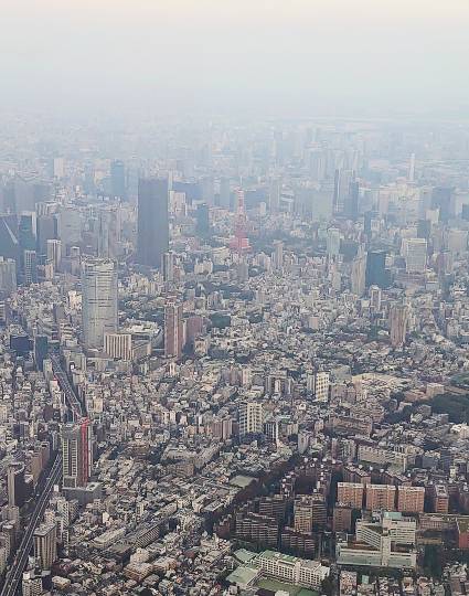 新装・旅行トピ