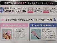 12月20日(水曜日)　守山倉庫店｜コストコオリジナルのくまのショッピングバ...