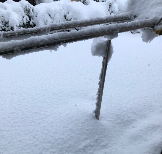 あつまれ！サブカルの森＃２