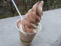 12月20日(水曜日)　守山倉庫店｜コストコオリジナルのくまのショッピングバ...