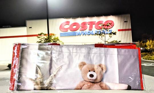 12月15日(金曜日) 中部空港倉庫店|あら、今日の中部・・
書き込み ゼロォ...