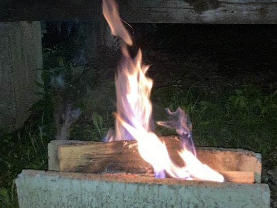 あつまれ！サブカルの森＃２