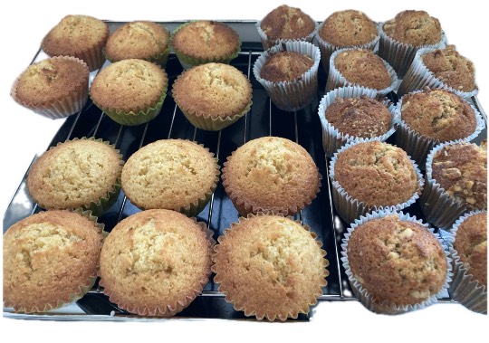 あつまれ！サブカルの森＃２