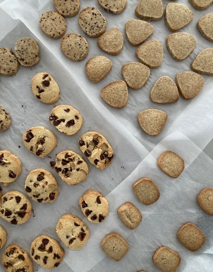 あつまれ！サブカルの森＃２