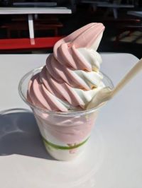 3月22日(金曜日)　岐阜羽島倉庫店｜おはようございます
お米のハツシモはあ...