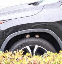 3月5日(火曜日)　中部空港倉庫店｜紅天使入荷してるか知りたいです。...