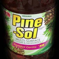 6月6日(木曜日) 　守山倉庫店｜いつも情報ありがとうございます。
少し...