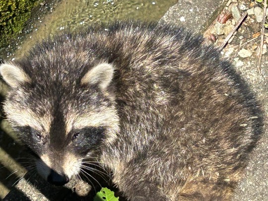 生き物ルーム72