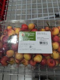 7月3日(水曜日) 　守山倉庫店｜レイニアチェリーないですかね？...