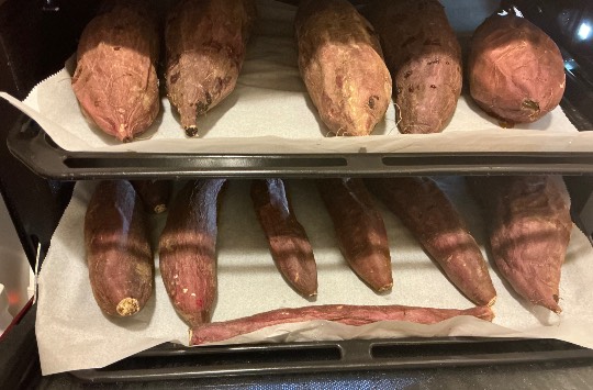 ★ドンキ♡♡ロピア雑談108★