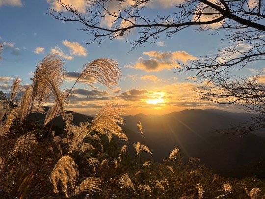 ★ドンキ♡♡ロピア雑談109★