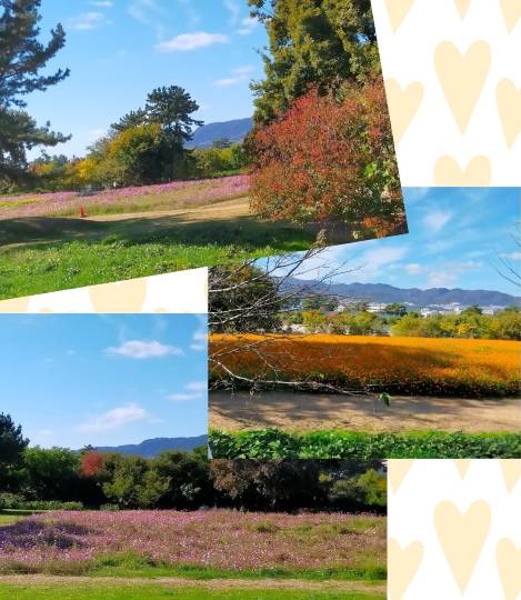 ★ドンキ♡♡ロピア雑談109★