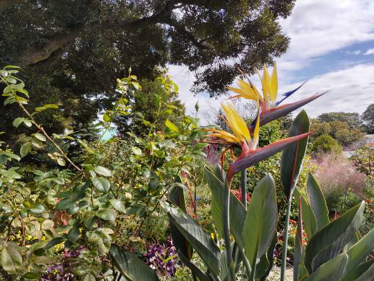 北のエポナ☆かくれ部屋10