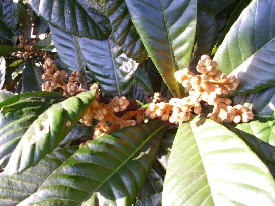 ★ドンキ♡♡ロピア雑談108★