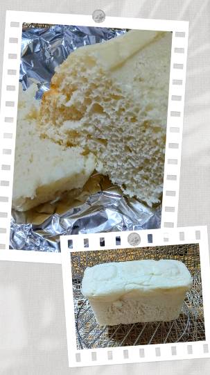 【料理トピ】食い隊 知り隊 作り隊　鉢