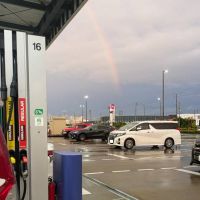 11月2日(土曜日) 　中部空港倉庫店｜紅芋ソフトクリームに変わっていました。...