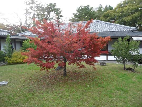 【スナックJINJIN】キッチンカー　この夏の…青·蒼·碧　出張営業７