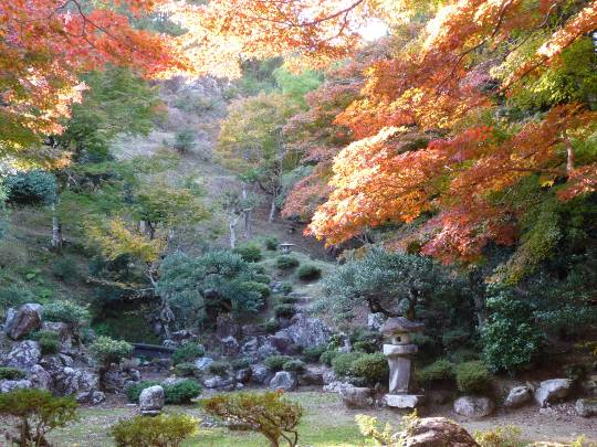【スナックJINJIN】キッチンカー　この夏の…青·蒼·碧　出張営業７