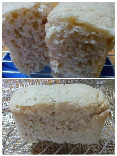 【料理トピ】食い隊 知り隊 作り隊　鉢