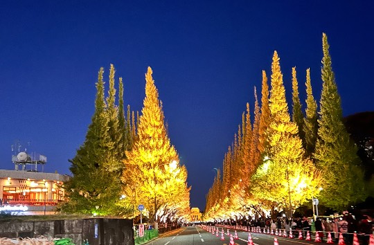 北のエポナ☆かくれ部屋10