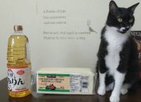 12月16日(月曜日) 　広島倉庫店｜こつこつさん情報の(いつも参考にさせて貰...