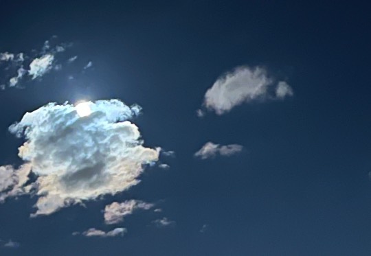 ★ドンキ♡♡ロピア雑談110★