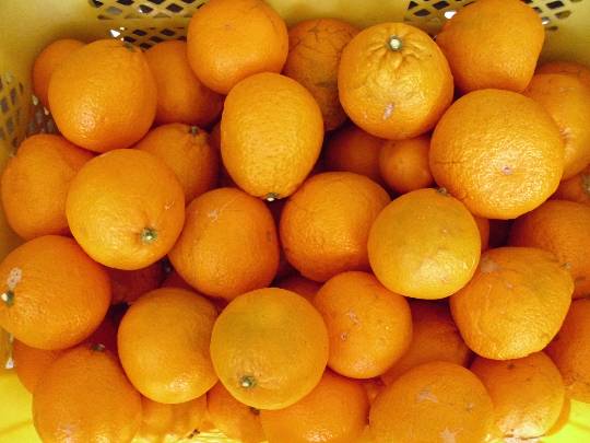 ★ドンキ♡♡ロピア雑談110★