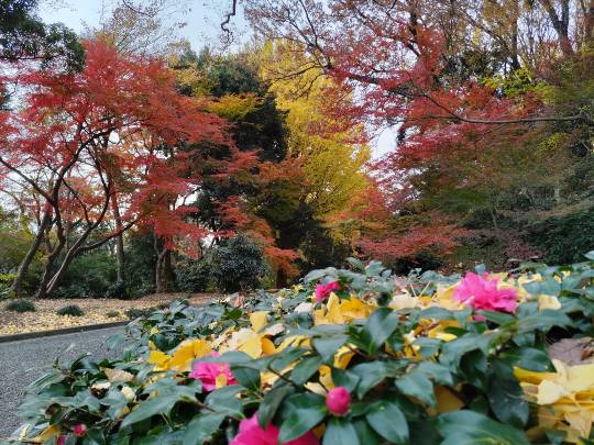 北のエポナ☆かくれ部屋10