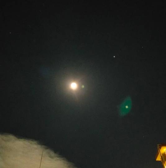 ★ドンキ♡♡ロピア雑談110★