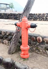 今週末、約１年ぶりに、広島倉庫店へ伺いますぅ