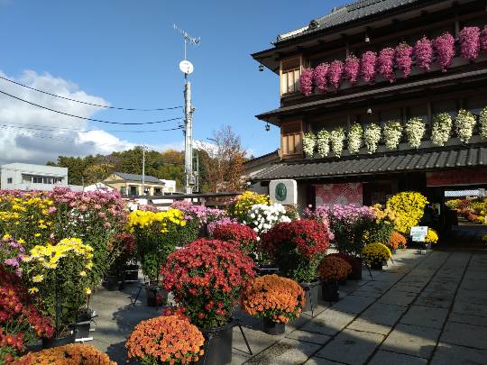 北のエポナ☆かくれ部屋10