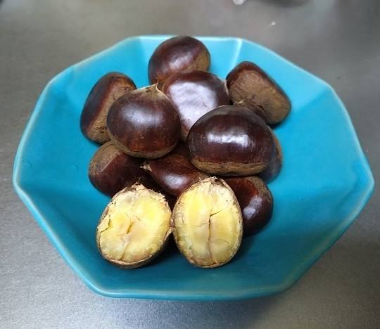 北のエポナ☆かくれ部屋10