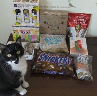 12月24日(火曜日) 　広島倉庫店｜今日は8時半にオープンでした。...