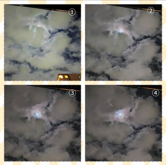 ★ドンキ♡♡ロピア雑談110★