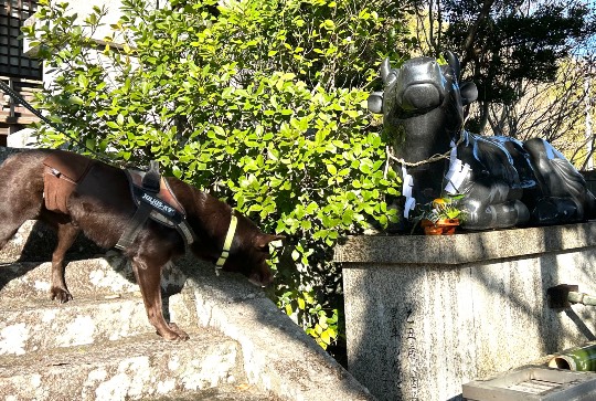 生き物ルーム73