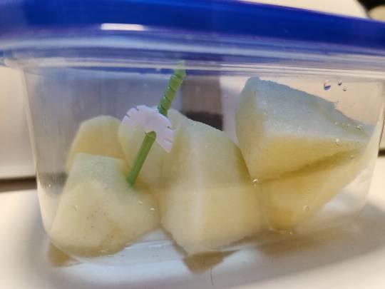 北のエポナ☆かくれ部屋10