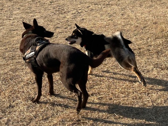 生き物ルーム73